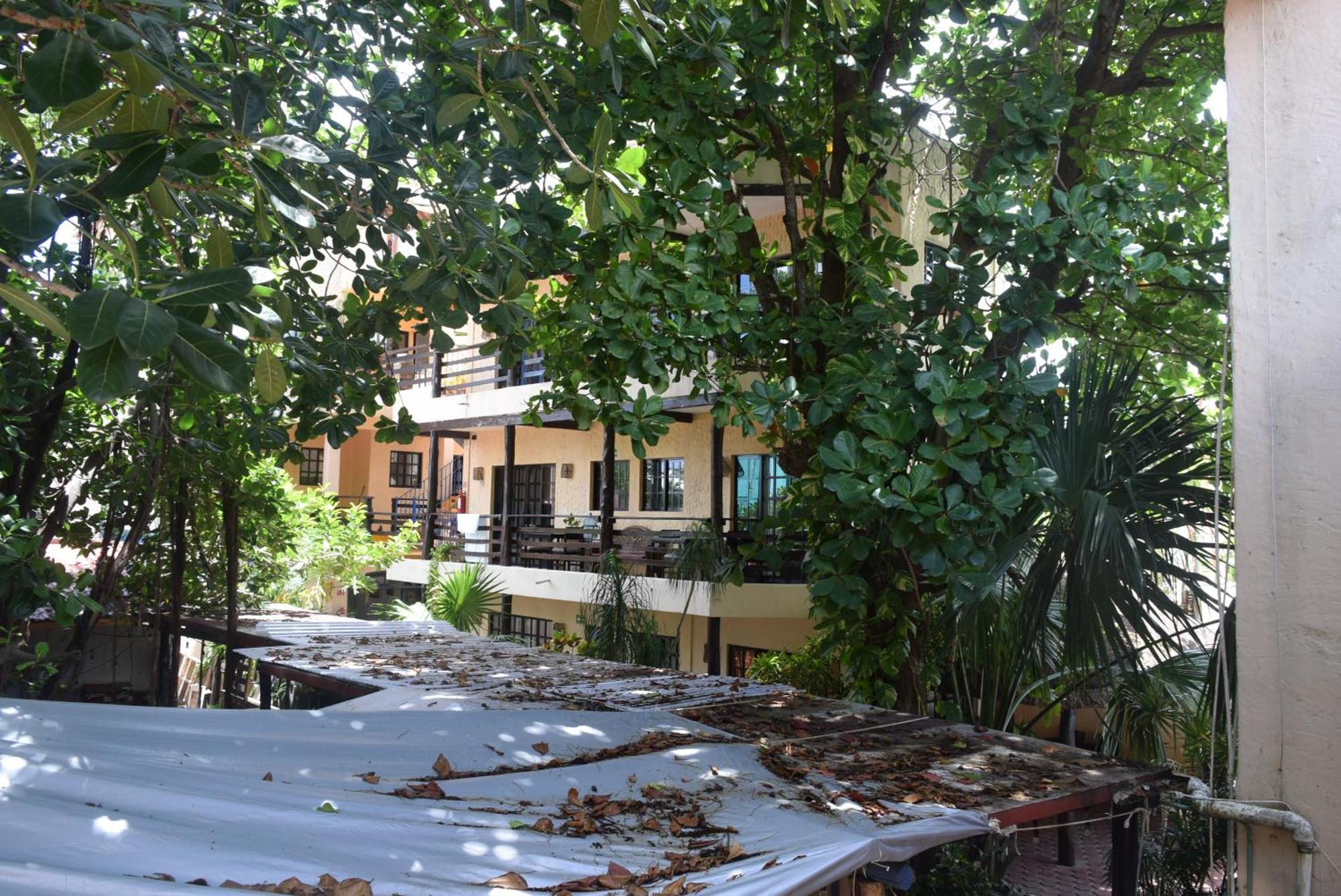 Hotel Casa El Moro 莫雷洛斯港 外观 照片
